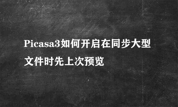 Picasa3如何开启在同步大型文件时先上次预览