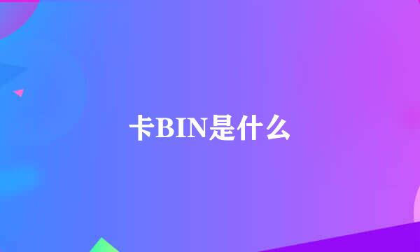 卡BIN是什么