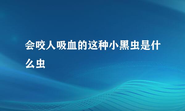 会咬人吸血的这种小黑虫是什么虫