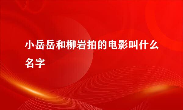 小岳岳和柳岩拍的电影叫什么名字