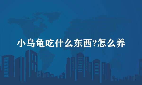 小乌龟吃什么东西?怎么养