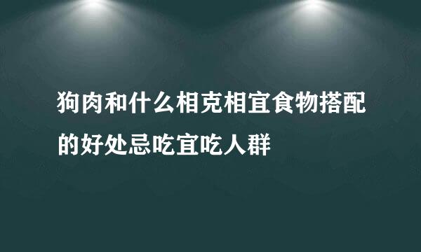 狗肉和什么相克相宜食物搭配的好处忌吃宜吃人群