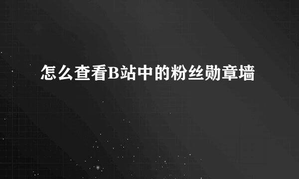 怎么查看B站中的粉丝勋章墙