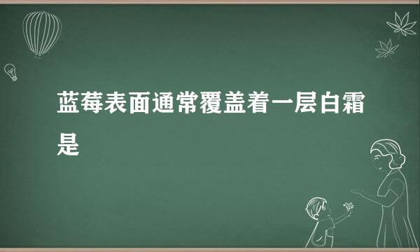 蓝莓表面通常覆盖着一层白霜是