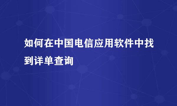 如何在中国电信应用软件中找到详单查询