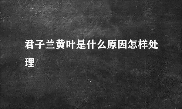 君子兰黄叶是什么原因怎样处理