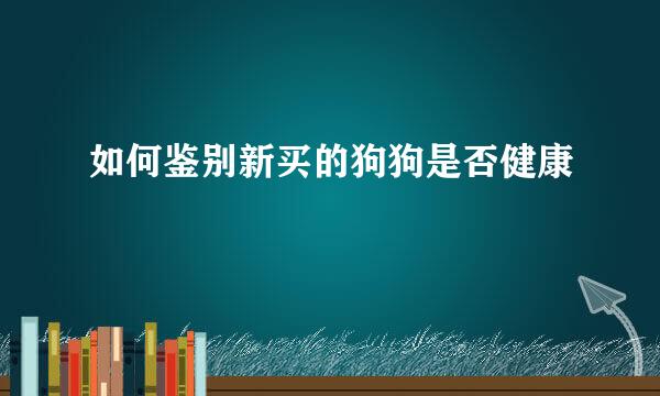 如何鉴别新买的狗狗是否健康