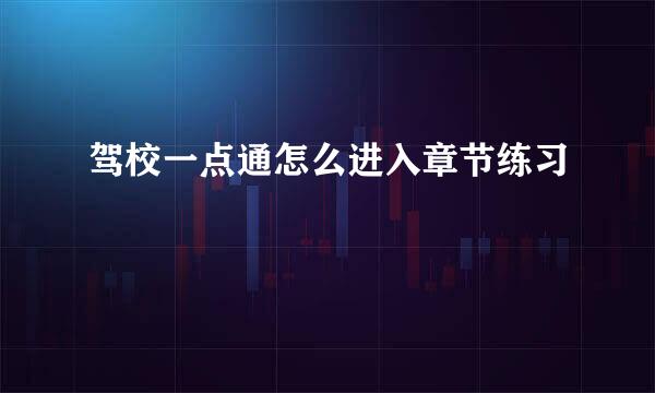 驾校一点通怎么进入章节练习