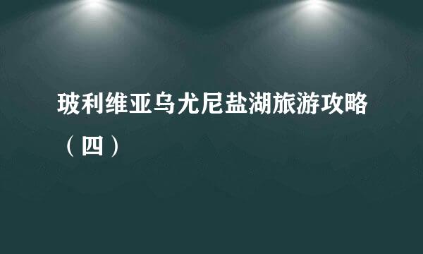 玻利维亚乌尤尼盐湖旅游攻略（四）