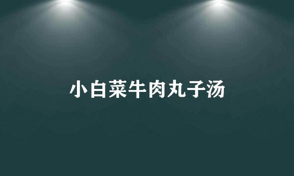 小白菜牛肉丸子汤