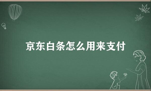 京东白条怎么用来支付