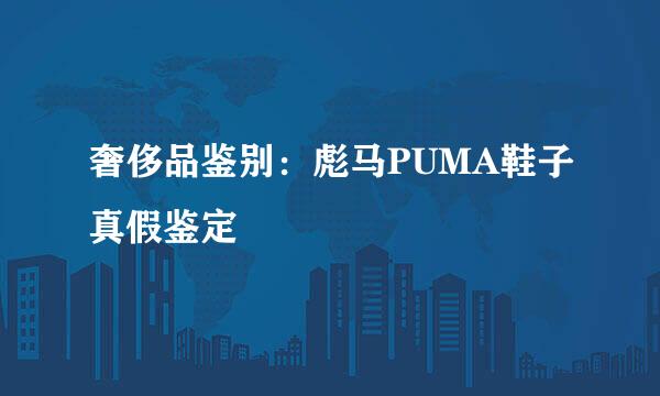 奢侈品鉴别：彪马PUMA鞋子真假鉴定