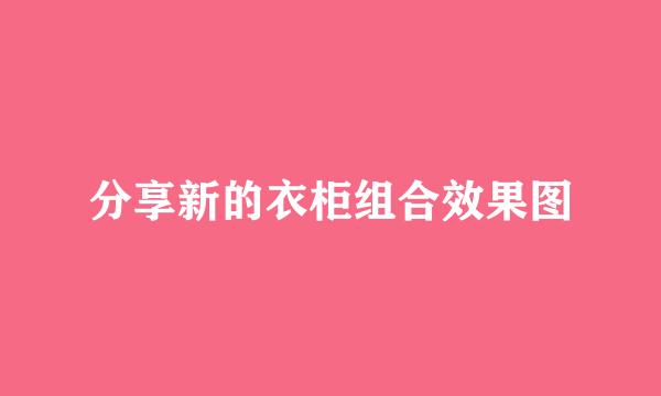 分享新的衣柜组合效果图