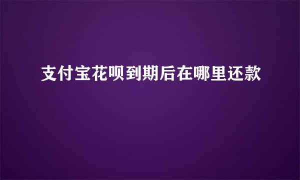 支付宝花呗到期后在哪里还款
