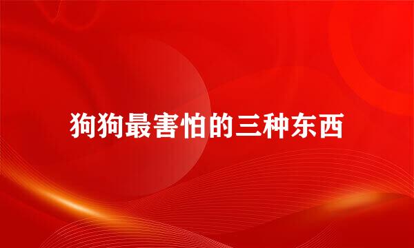 狗狗最害怕的三种东西