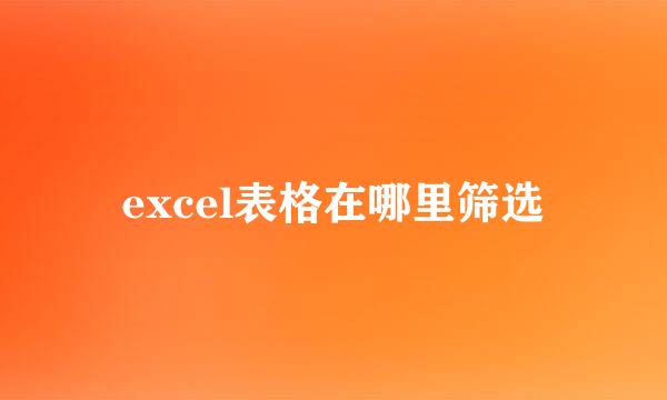 excel表格在哪里筛选
