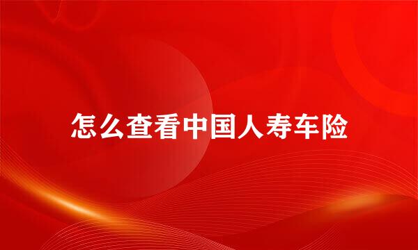怎么查看中国人寿车险