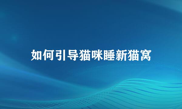 如何引导猫咪睡新猫窝