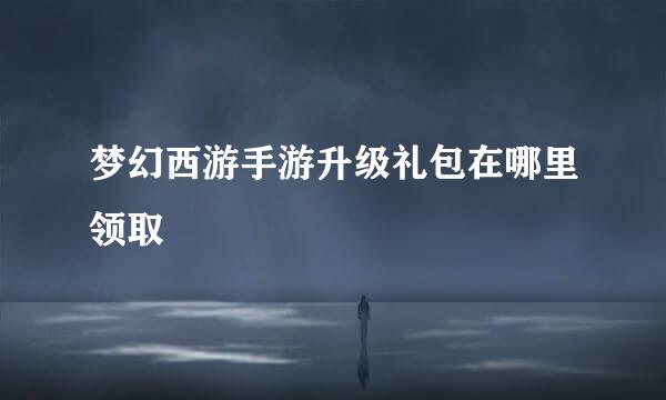 梦幻西游手游升级礼包在哪里领取