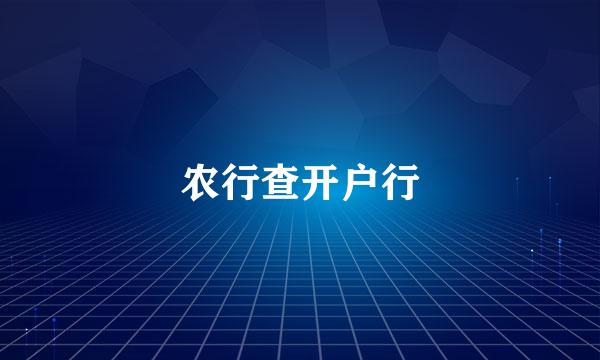 农行查开户行