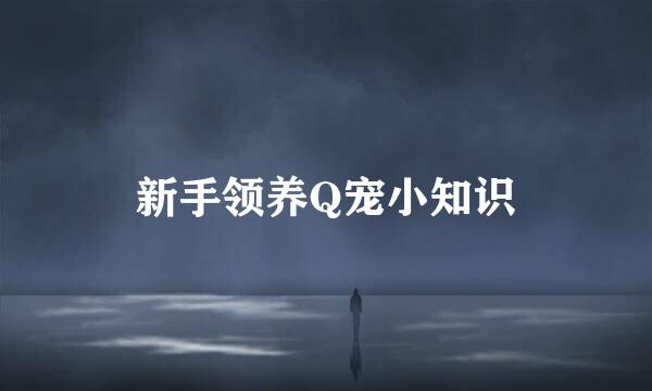 新手领养Q宠小知识