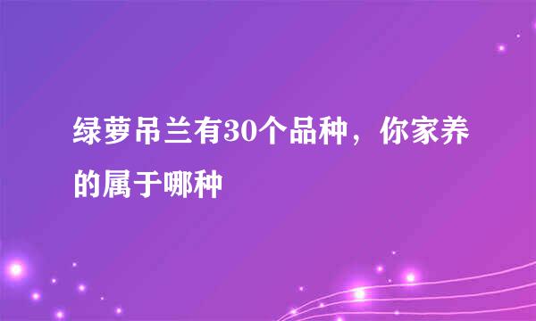 绿萝吊兰有30个品种，你家养的属于哪种