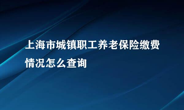 上海市城镇职工养老保险缴费情况怎么查询