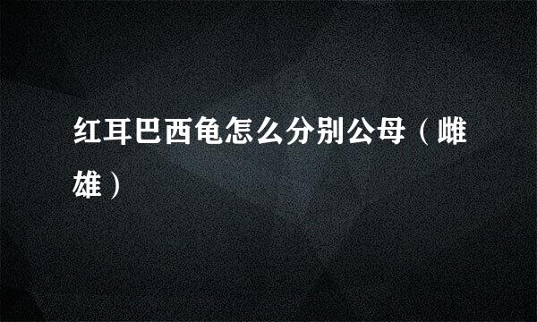 红耳巴西龟怎么分别公母（雌雄）