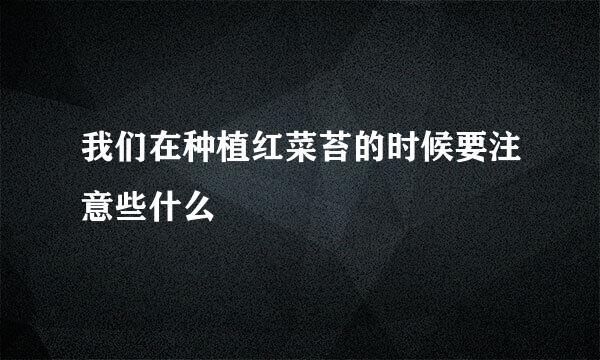 我们在种植红菜苔的时候要注意些什么