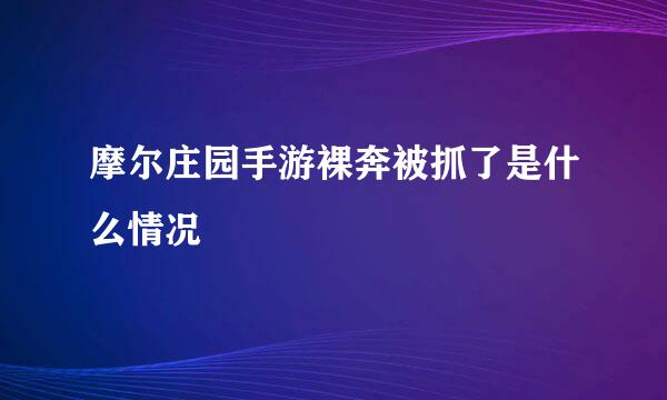 摩尔庄园手游裸奔被抓了是什么情况