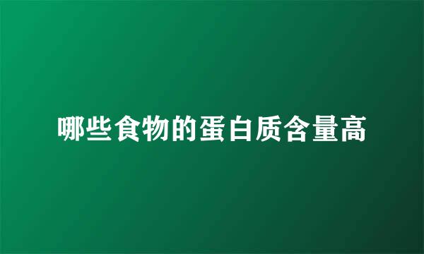 哪些食物的蛋白质含量高