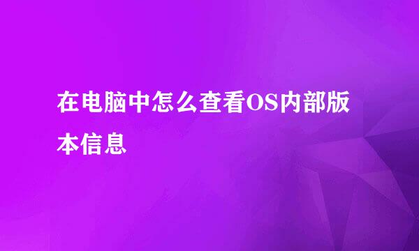 在电脑中怎么查看OS内部版本信息