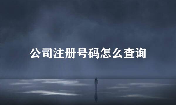 公司注册号码怎么查询
