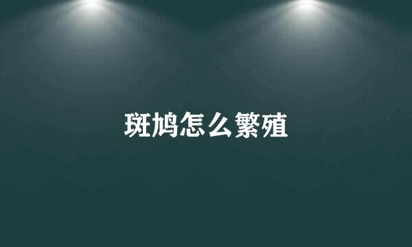 斑鸠怎么繁殖