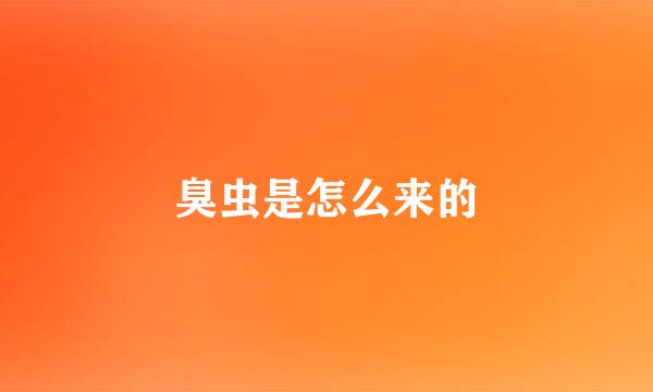 臭虫是怎么来的