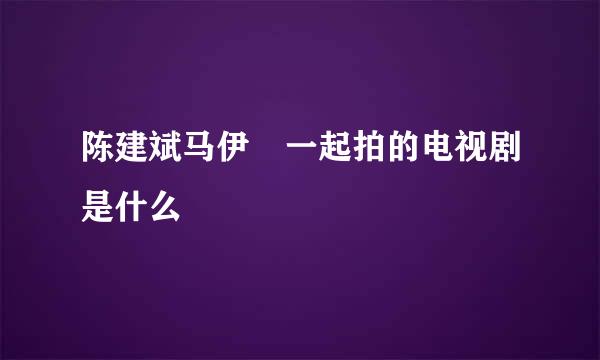 陈建斌马伊琍一起拍的电视剧是什么