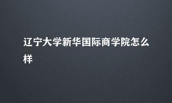 辽宁大学新华国际商学院怎么样