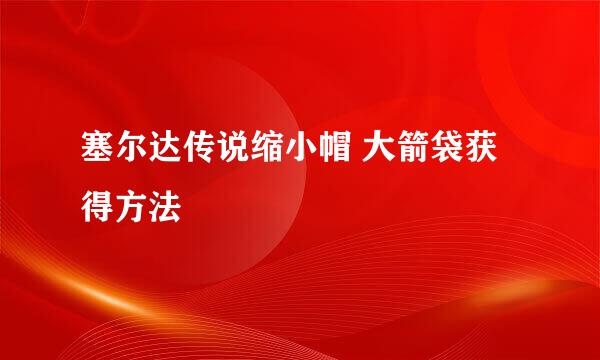 塞尔达传说缩小帽 大箭袋获得方法