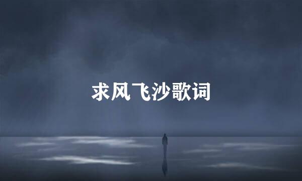 求风飞沙歌词