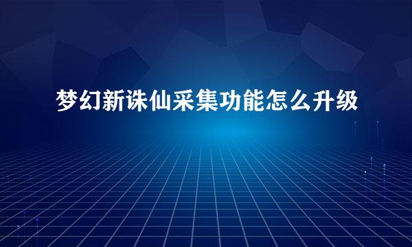 梦幻新诛仙采集功能怎么升级