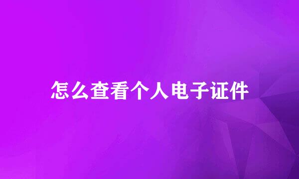 怎么查看个人电子证件