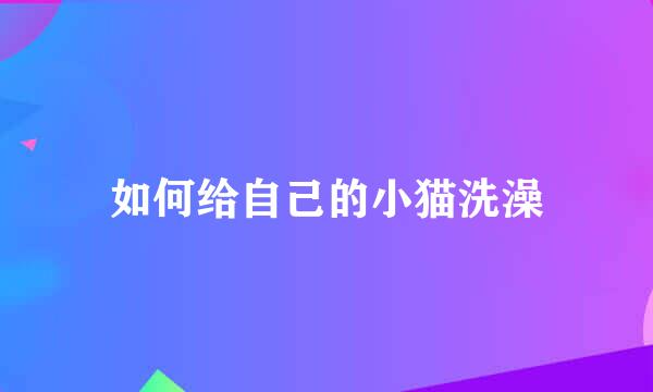 如何给自己的小猫洗澡