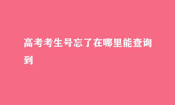 高考考生号忘了在哪里能查询到