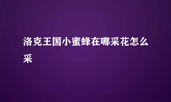 洛克王国小蜜蜂在哪采花怎么采