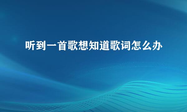 听到一首歌想知道歌词怎么办