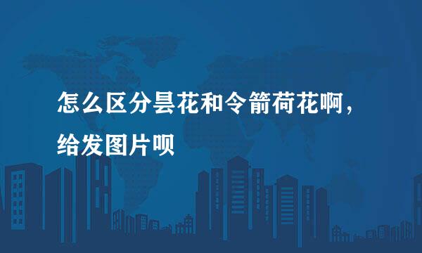 怎么区分昙花和令箭荷花啊，给发图片呗