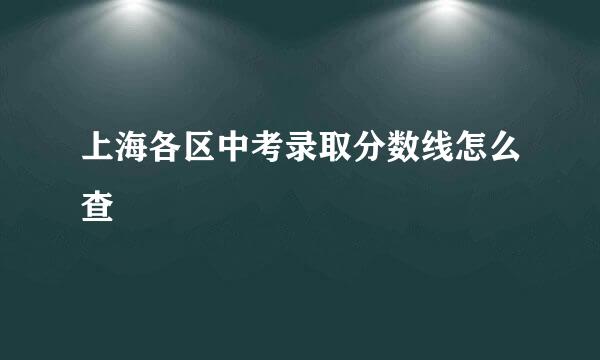上海各区中考录取分数线怎么查