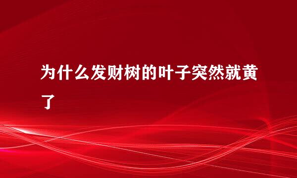 为什么发财树的叶子突然就黄了