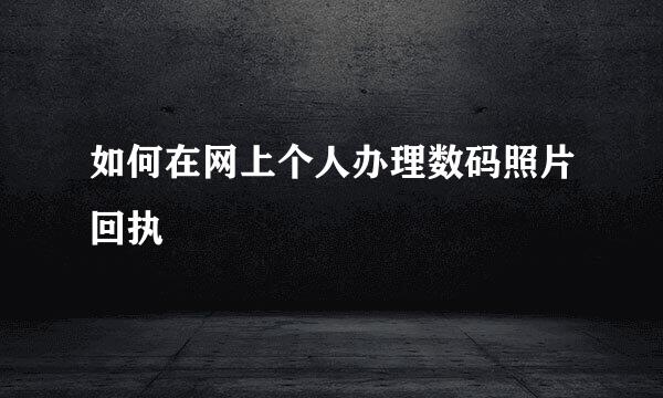 如何在网上个人办理数码照片回执