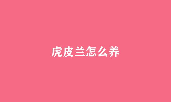虎皮兰怎么养